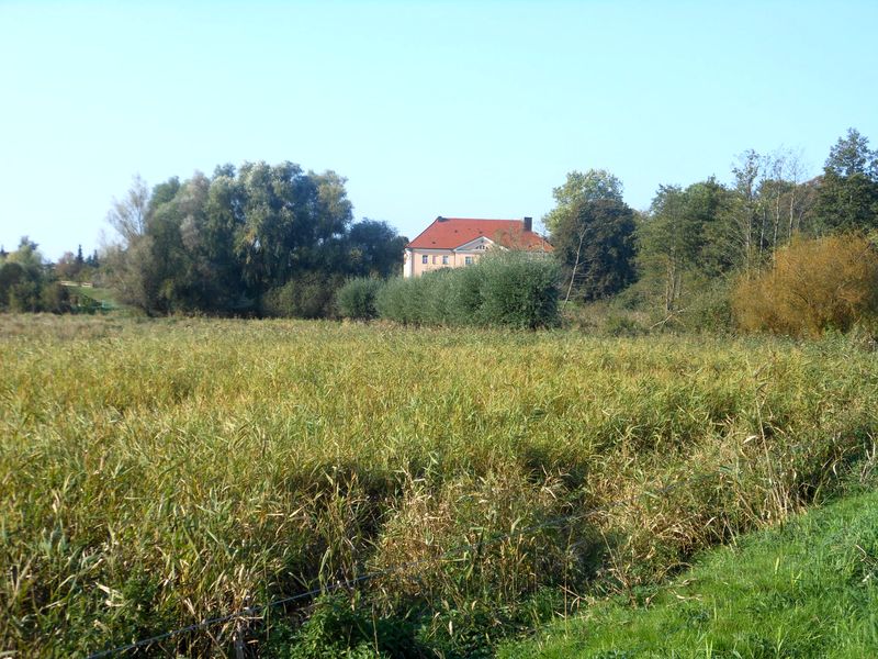 Herbst
