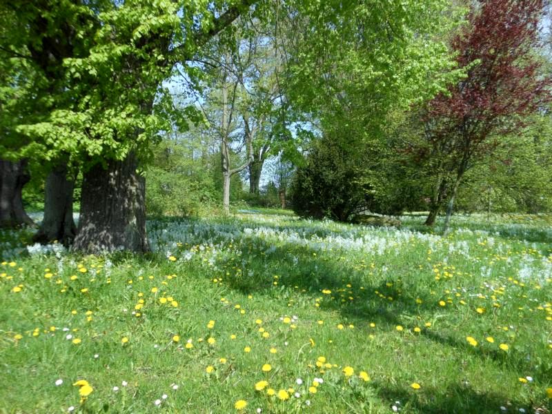 Frühling