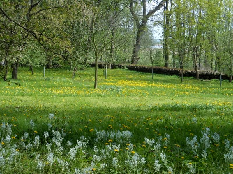 Frühling