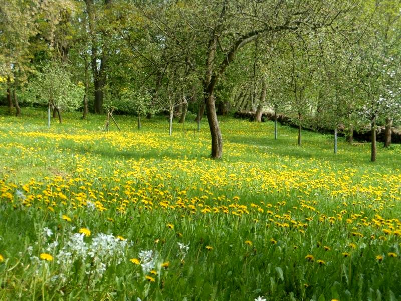 Frühling