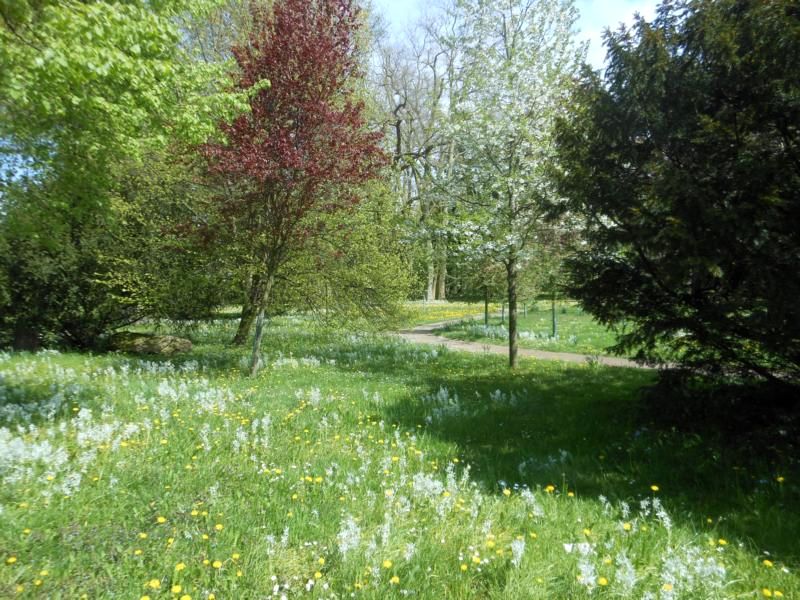 Frühling