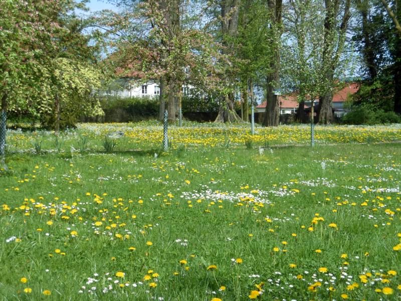 Frühling