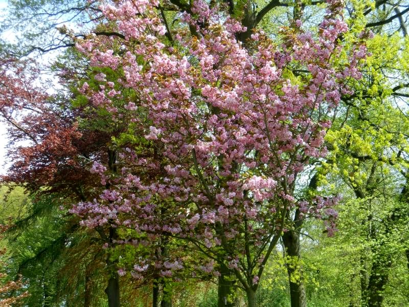 Frühling