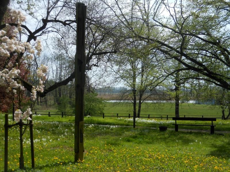 Frühling