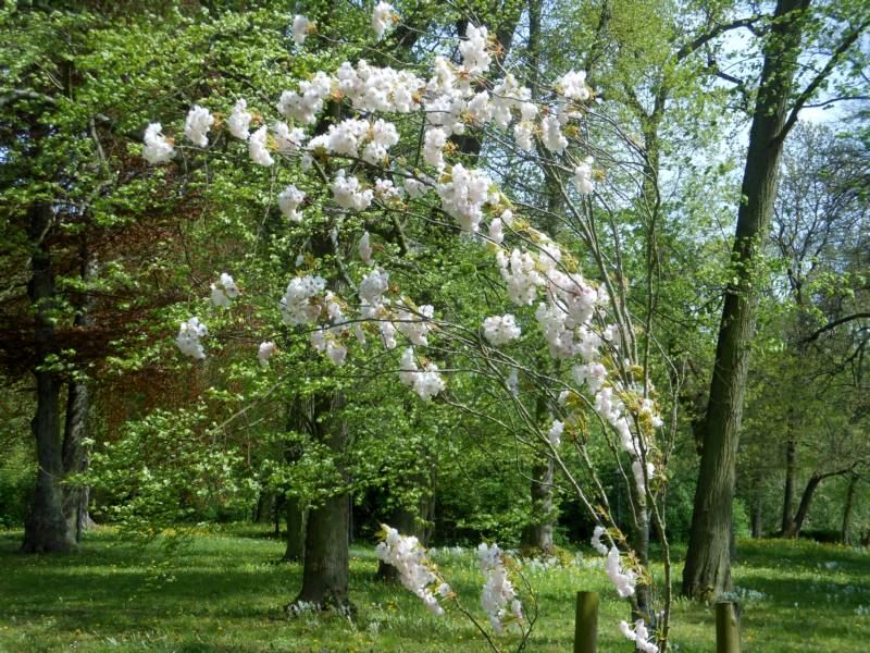 Frühling