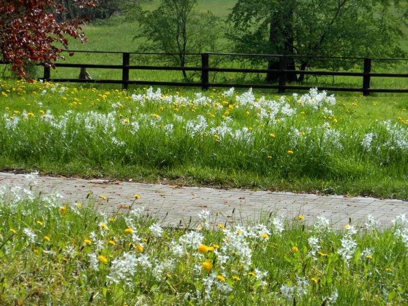 Frühling