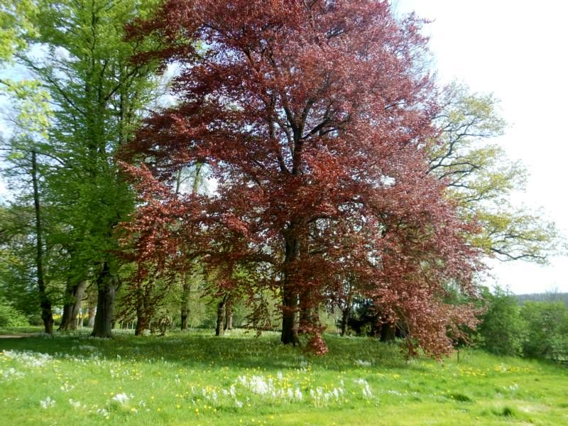 Frühling