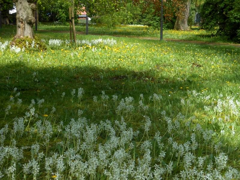 Frühling
