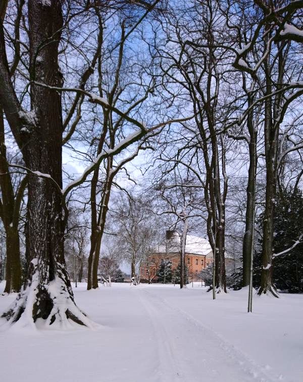 Winter