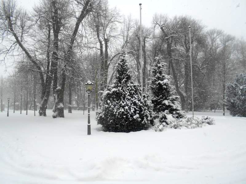 Winter