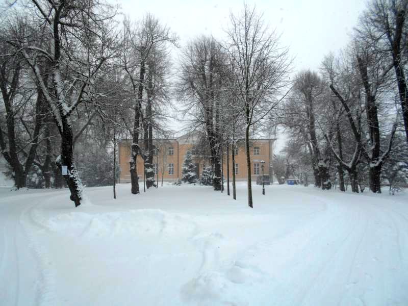 Winter