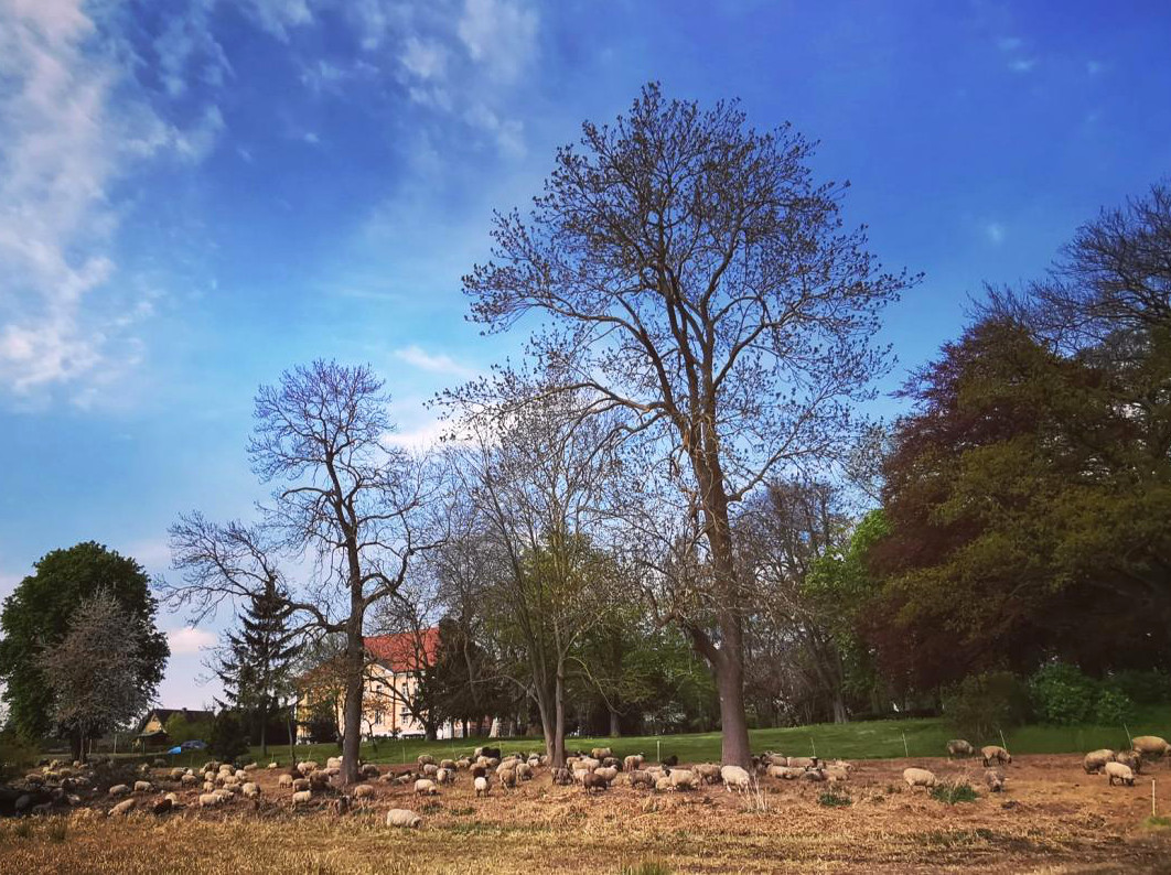 Frühling