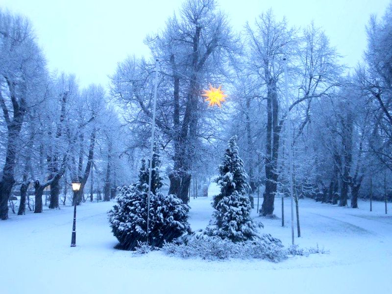 Winter