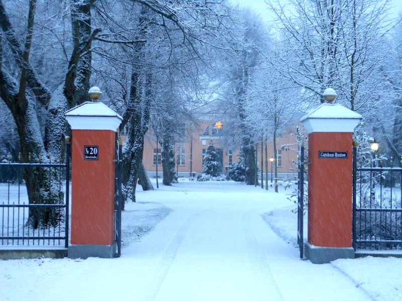 Winter