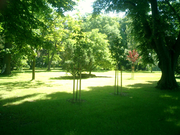Garten