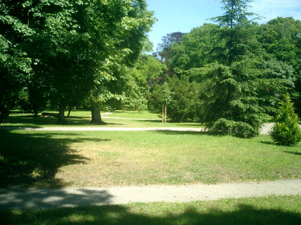 Garten
