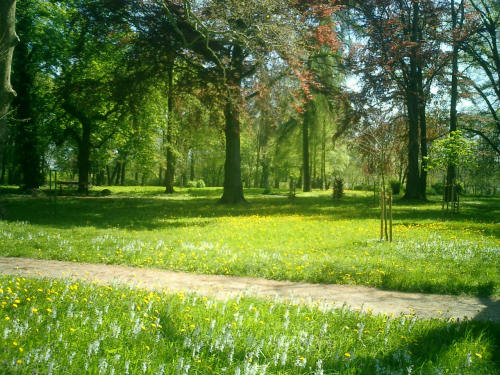Garten
