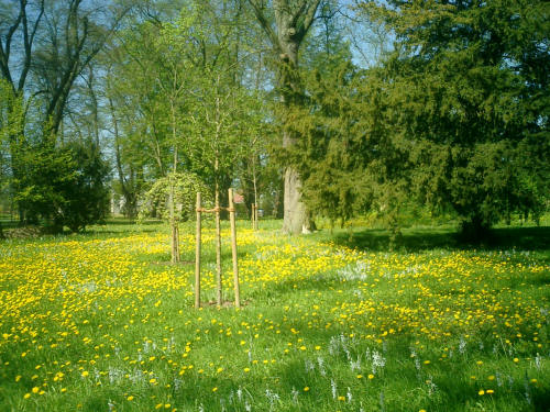 Garten
