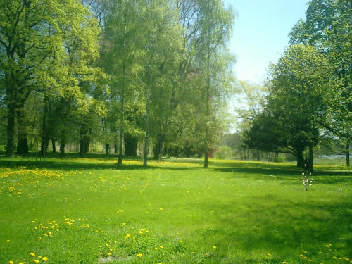 Garten
