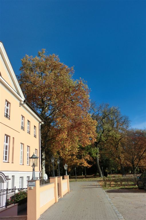 Herbst