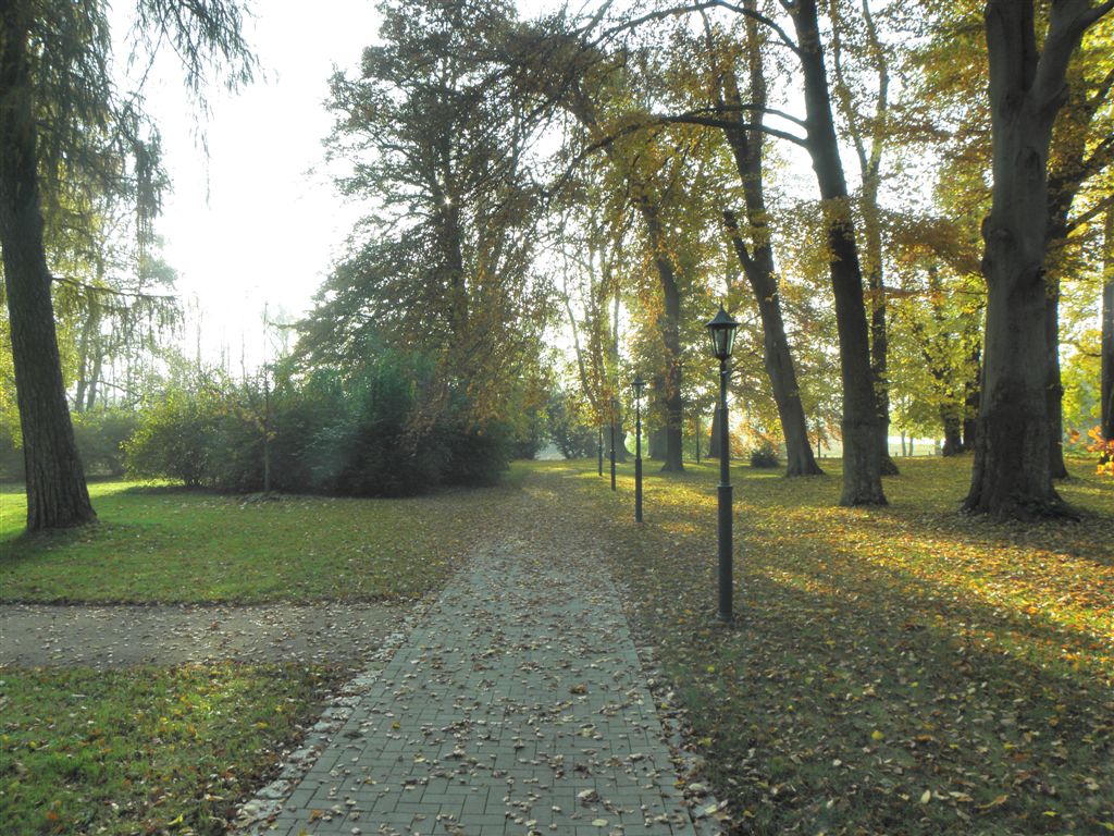 Herbst