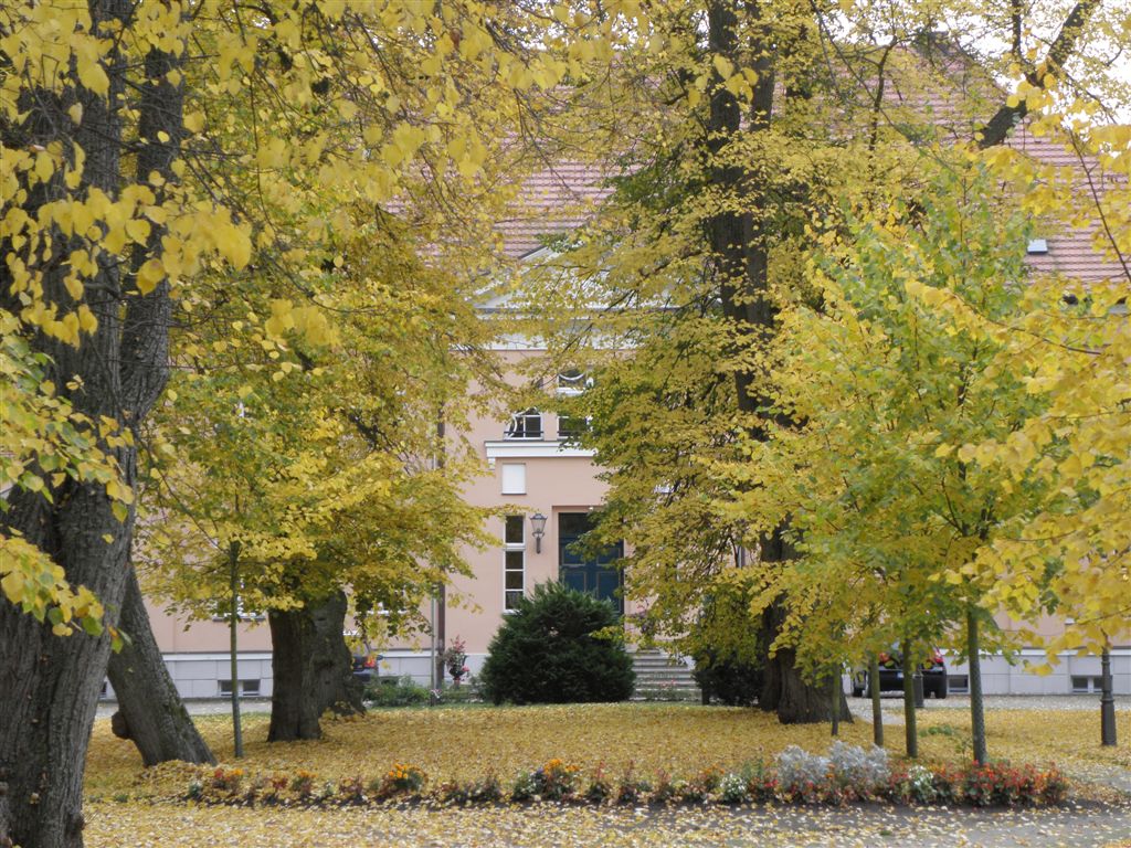 Herbst