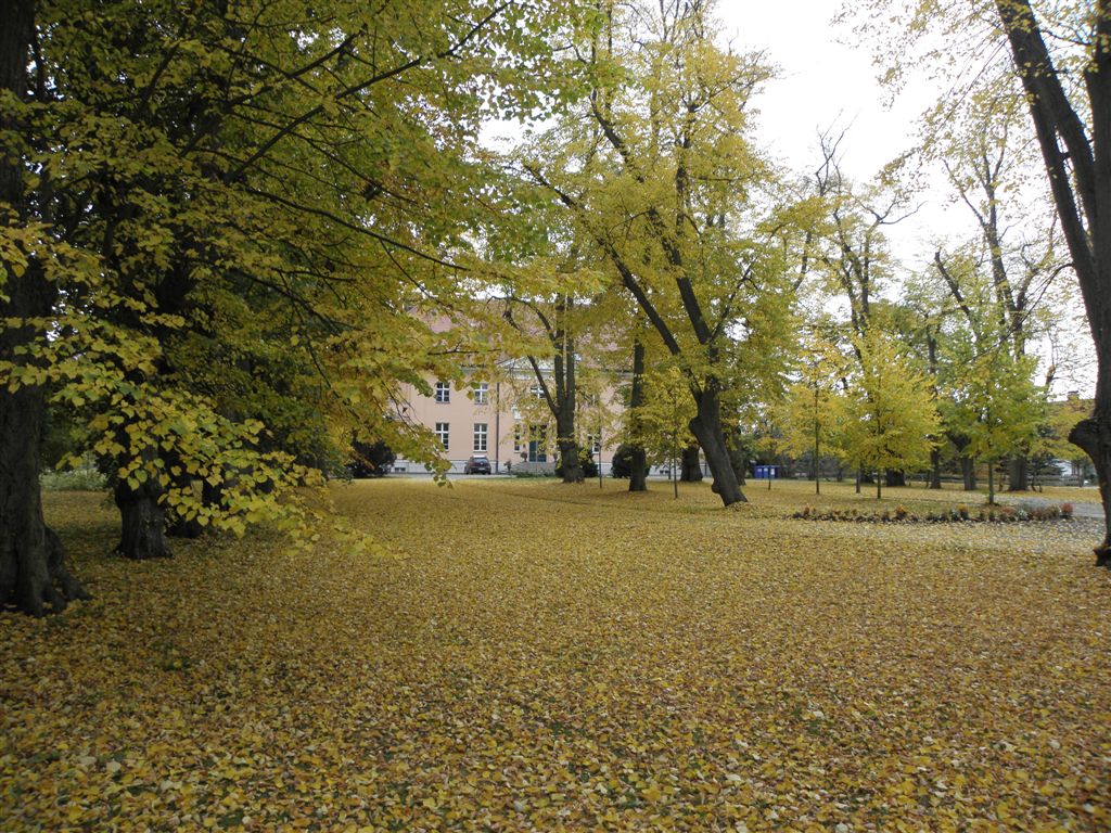 Herbst