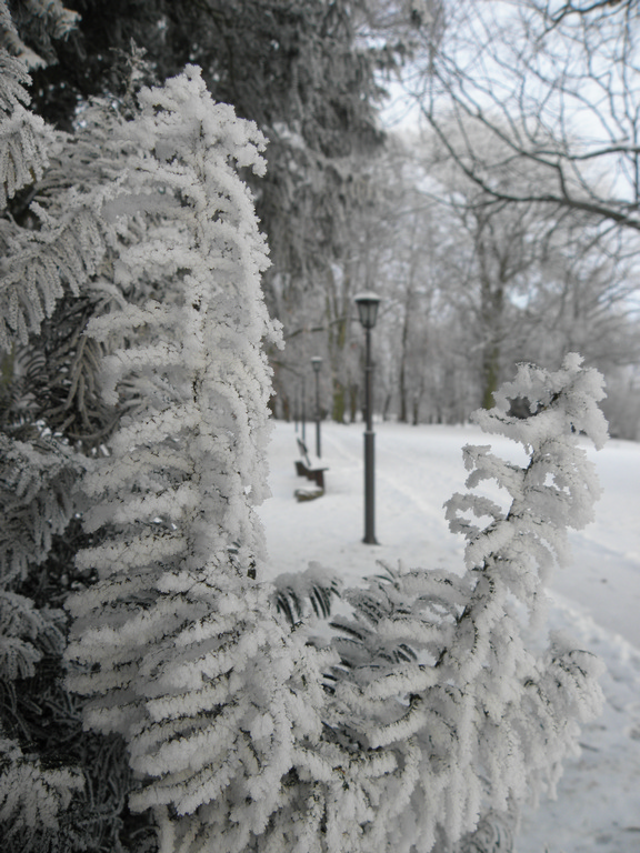 Winter