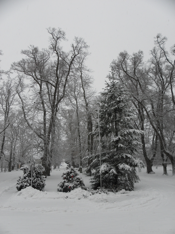 Winter
