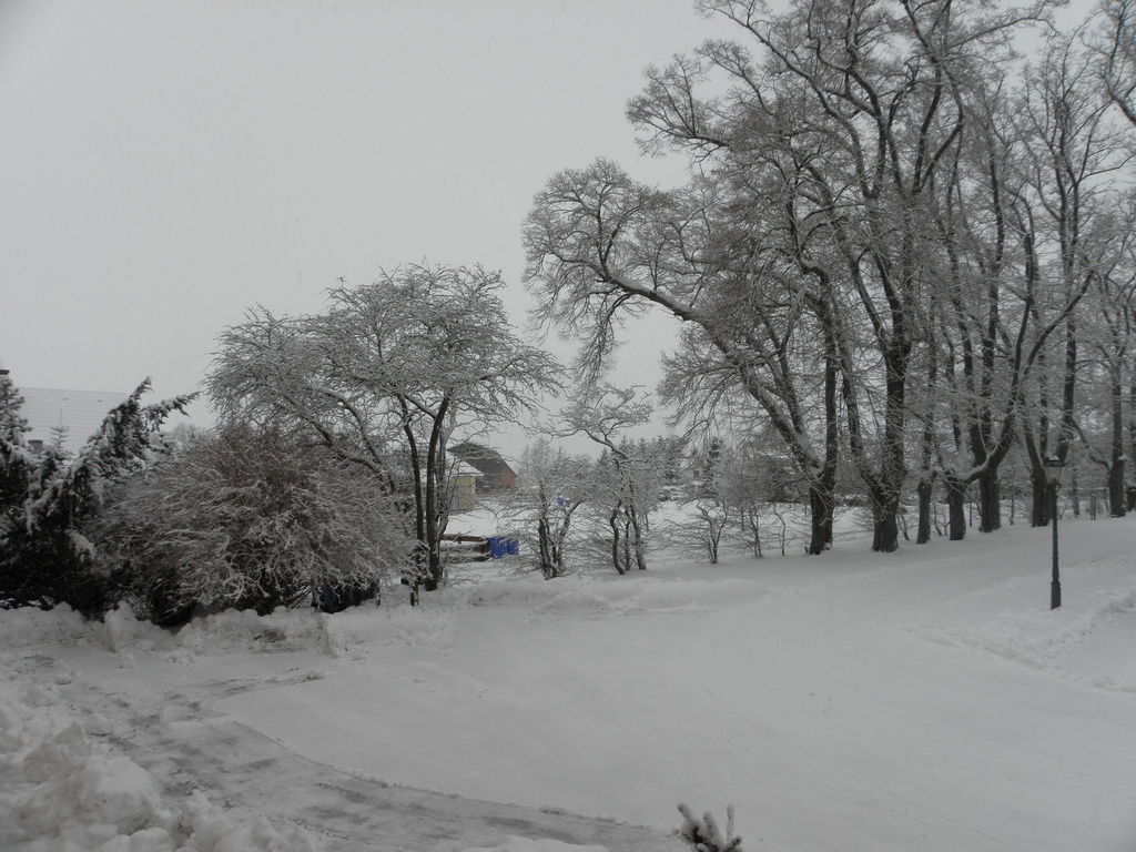 Winter
