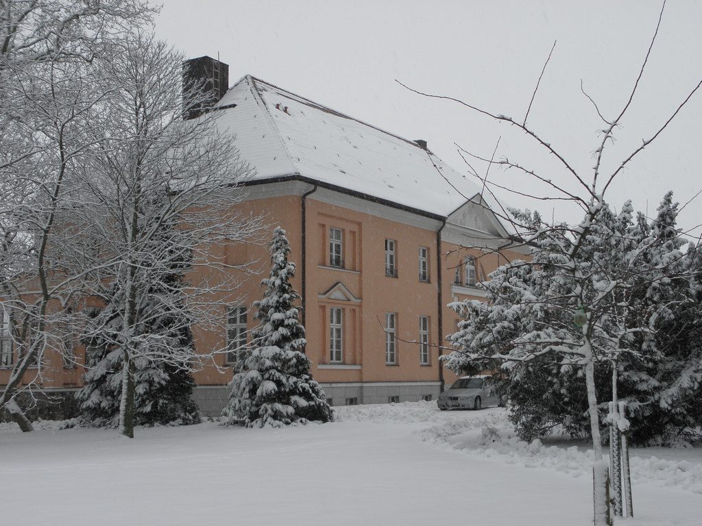 Winter