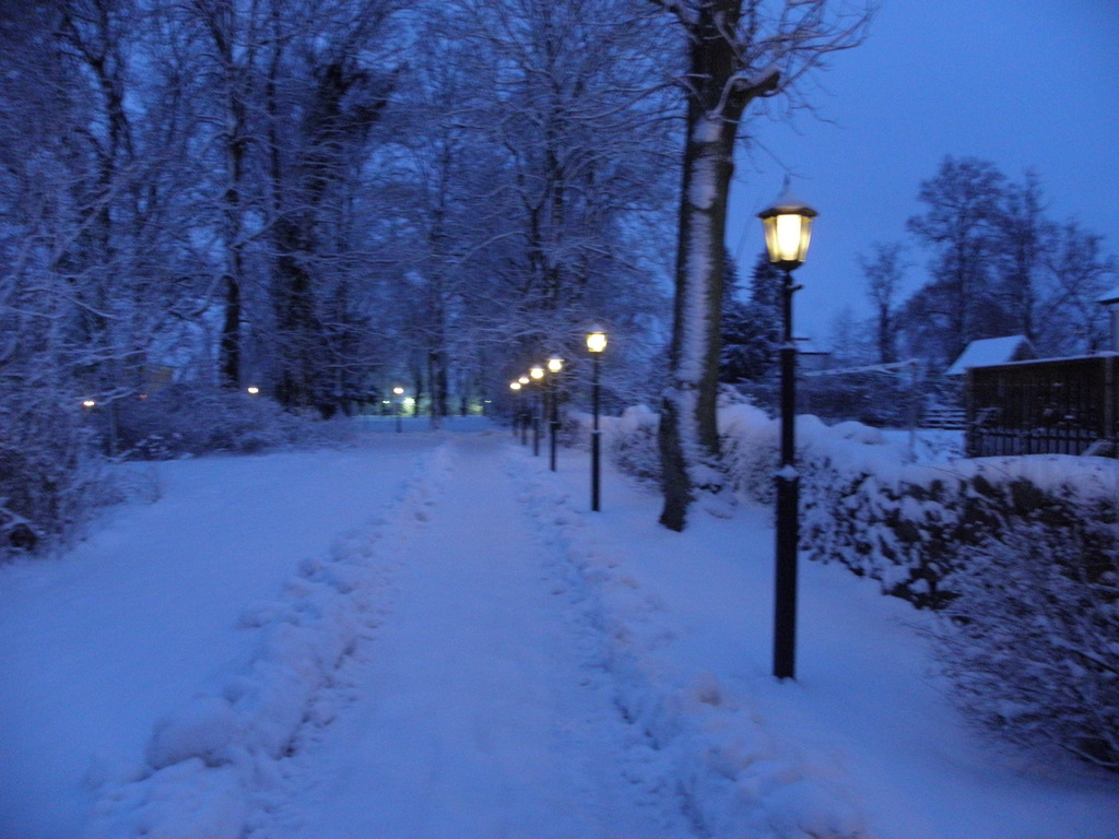Winter