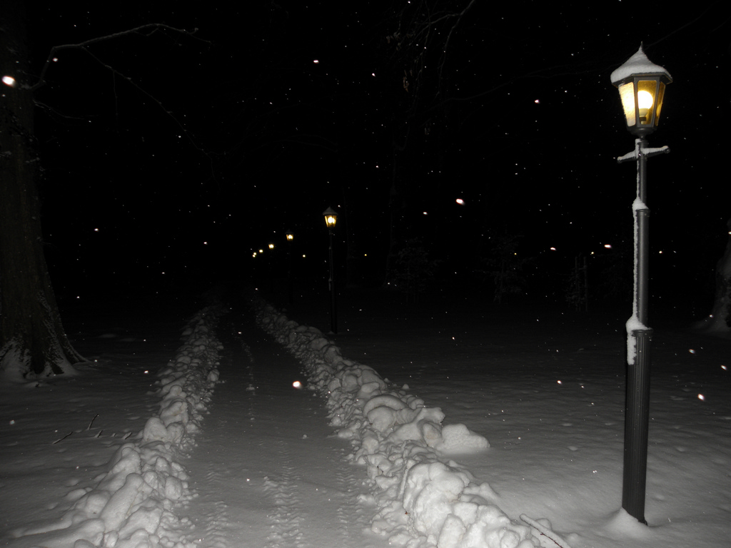 Winter