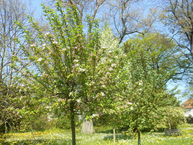 April-2014