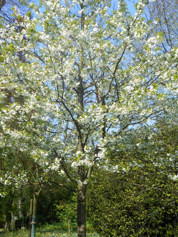 April-2014